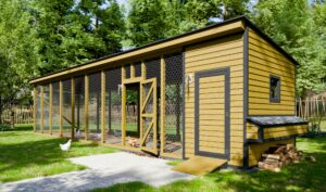 Chicken coop with large run DIY plans