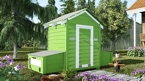 The Cheery Green Chicken Shed plan