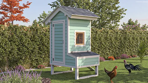 Elevated Hen House