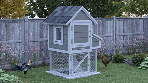 3x3 chicken coop and run