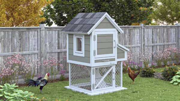  Budget-friendly Chicken Coop