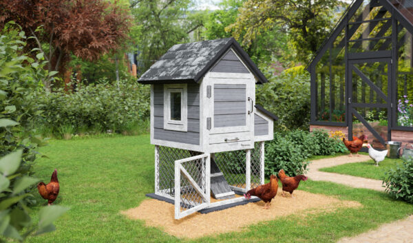  Budget-friendly Chicken Coop