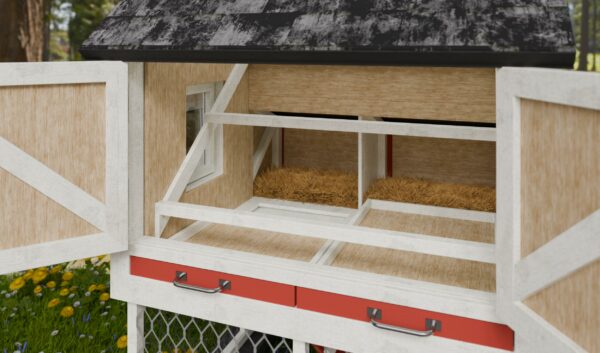 small chicken coop interior design
