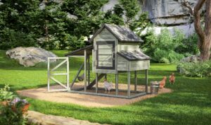 DIY plans compact chicken coop with built-in run