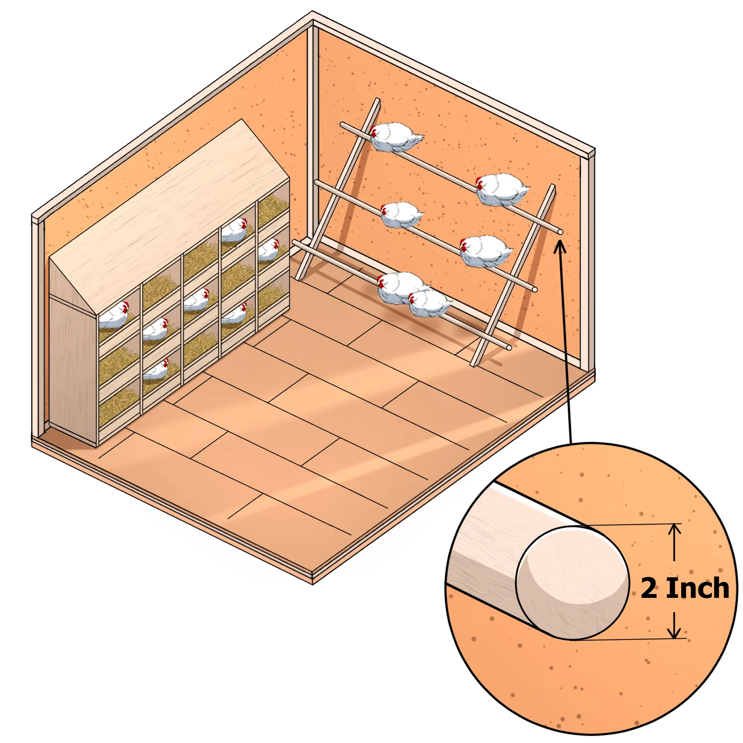 chicken coop roost diameter