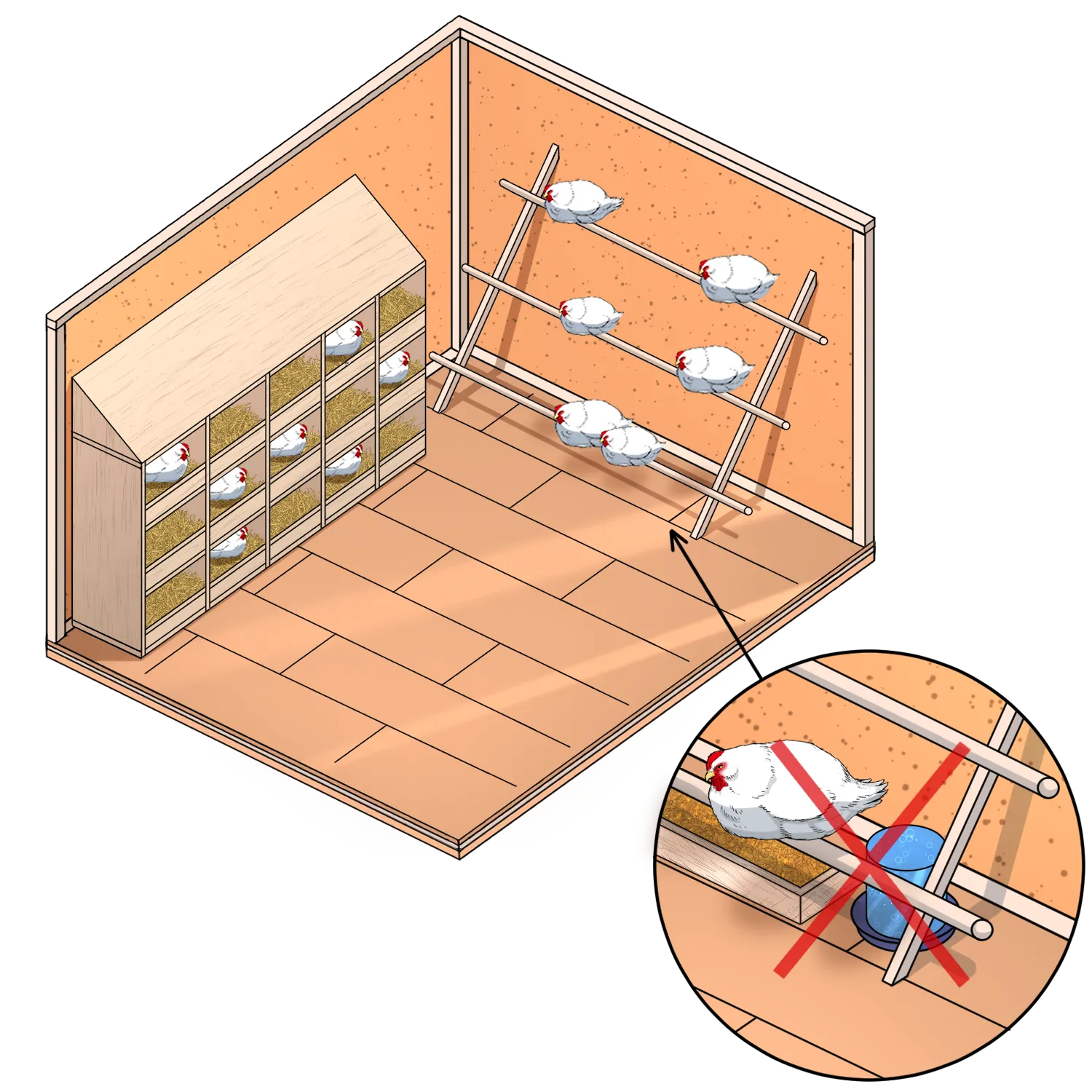 feeders and waterers under the chicken coop roosts