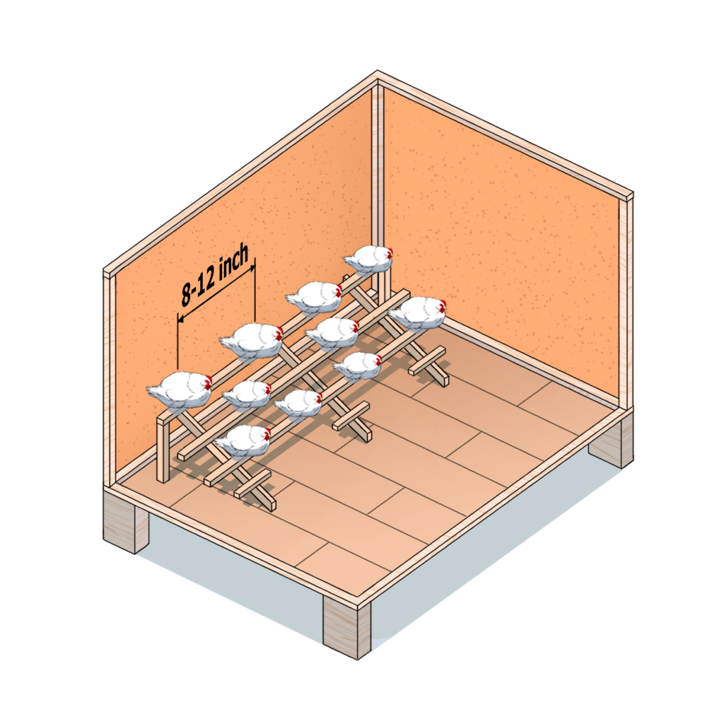 The basics to a happy hen: how much space do hens need?