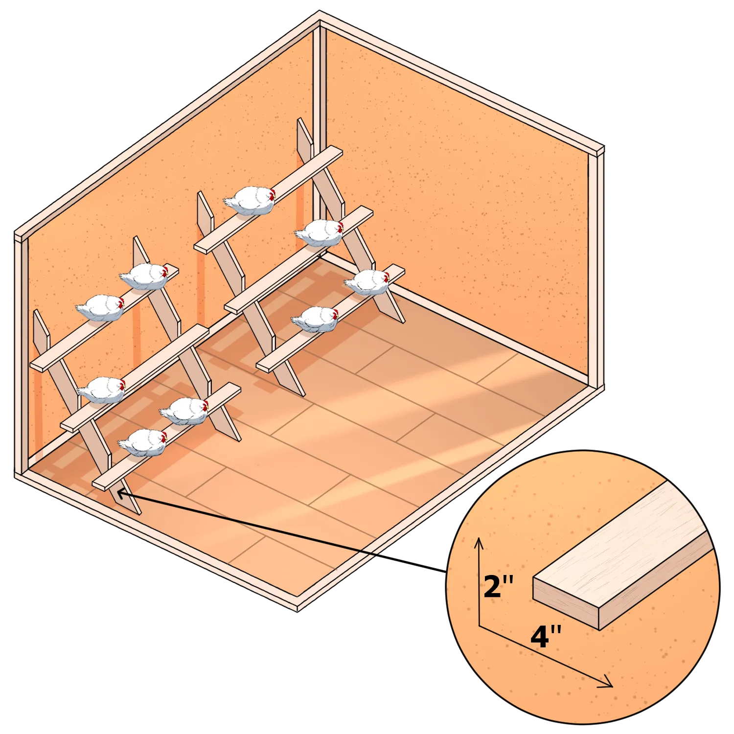 2″ x 4″ board is recommended for roosts