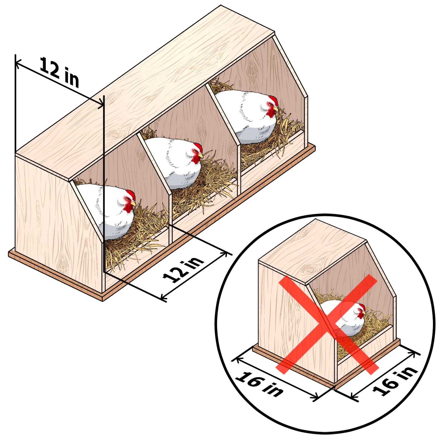 Nesting box store size for chickens