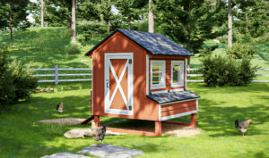 6×6 Amish-Inspired Chicken Coop Plans