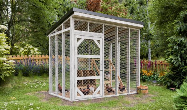  Chicken Run Plans