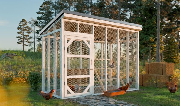 Small Chicken Run Plans