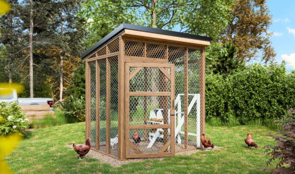 Small Chicken Run Plans