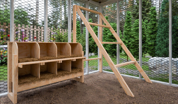 8x10-walk-in-chicken-run-interior-design