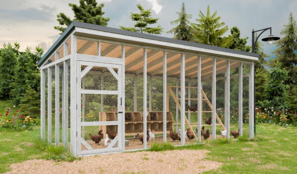  8x20 Chicken Run Plans