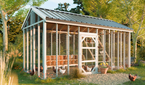 10x20-walk-in-chicken-run-design