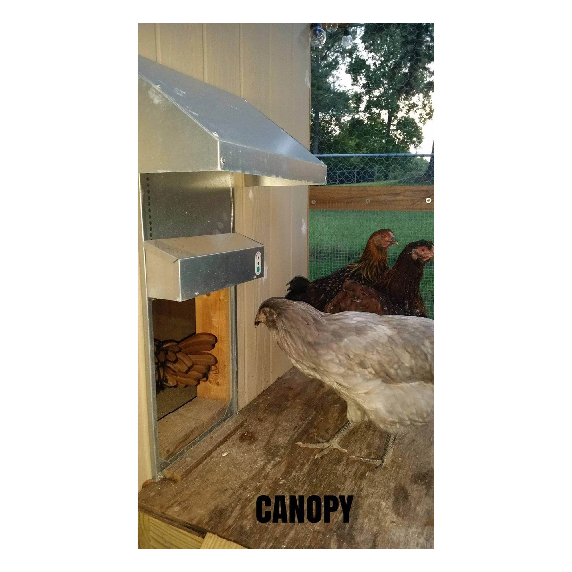 ADOR1 Automatic Chicken Coop Door With Canopy - Easy Coops™
